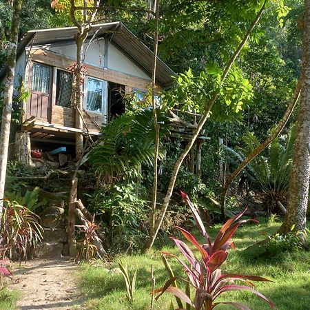 Sumatra Ecolodge Sungaipisang Zewnętrze zdjęcie