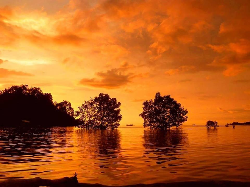 Sumatra Ecolodge Sungaipisang Zewnętrze zdjęcie