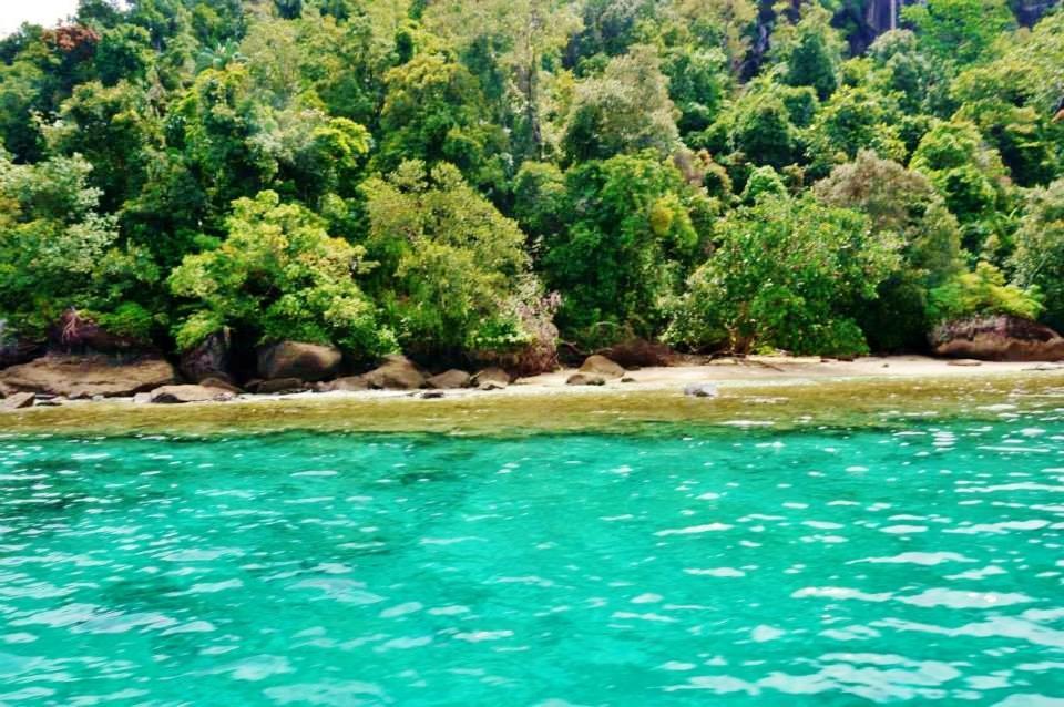 Sumatra Ecolodge Sungaipisang Zewnętrze zdjęcie