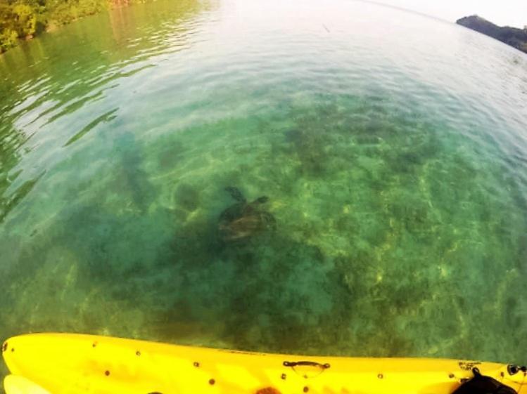 Sumatra Ecolodge Sungaipisang Zewnętrze zdjęcie