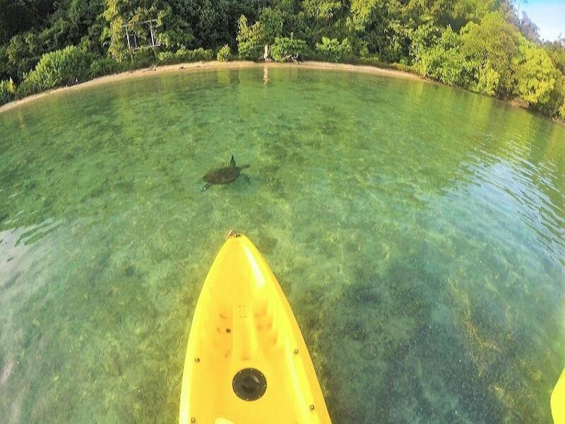 Sumatra Ecolodge Sungaipisang Zewnętrze zdjęcie