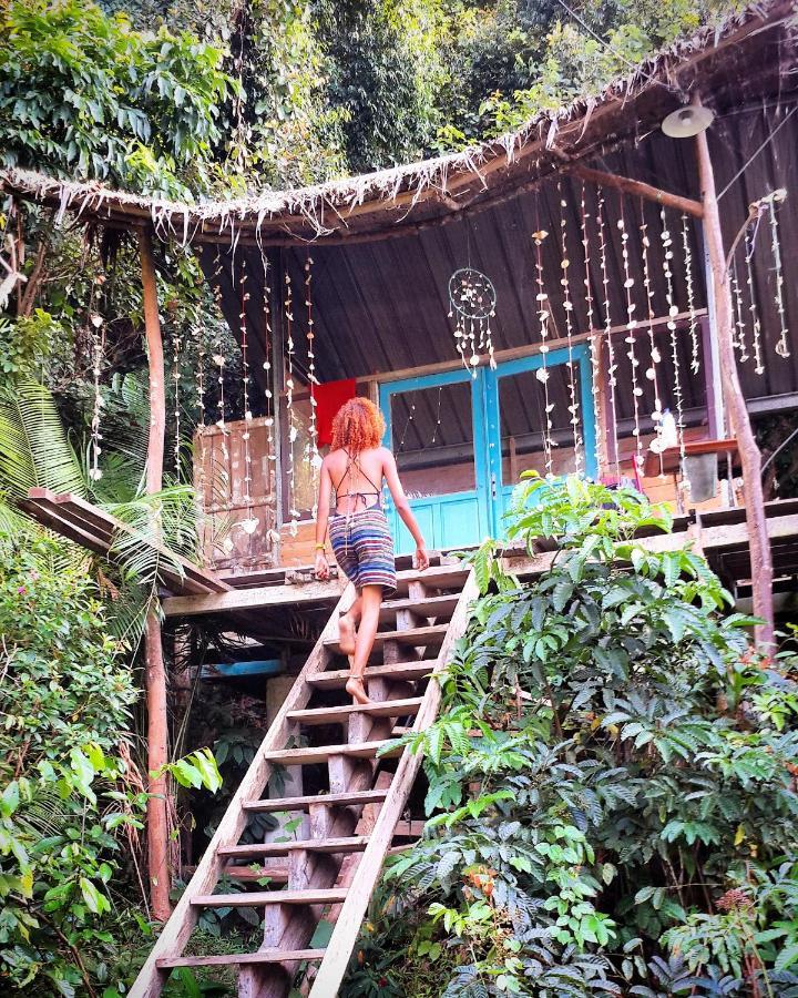 Sumatra Ecolodge Sungaipisang Zewnętrze zdjęcie