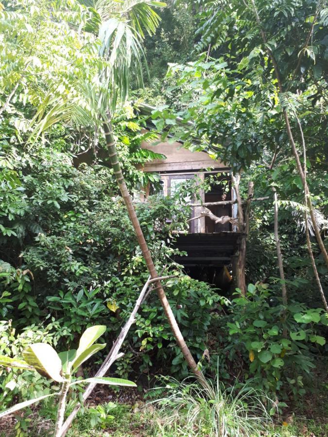 Sumatra Ecolodge Sungaipisang Zewnętrze zdjęcie