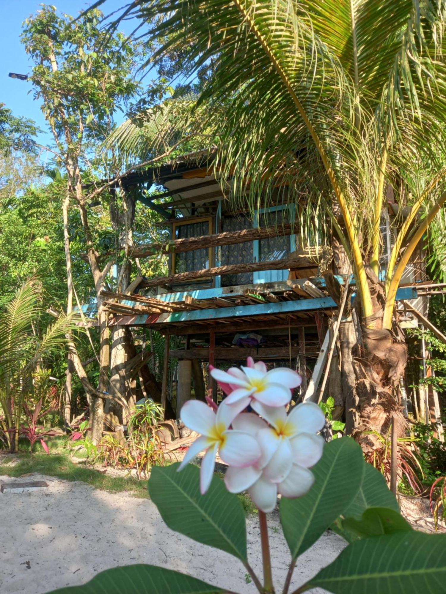 Sumatra Ecolodge Sungaipisang Pokój zdjęcie