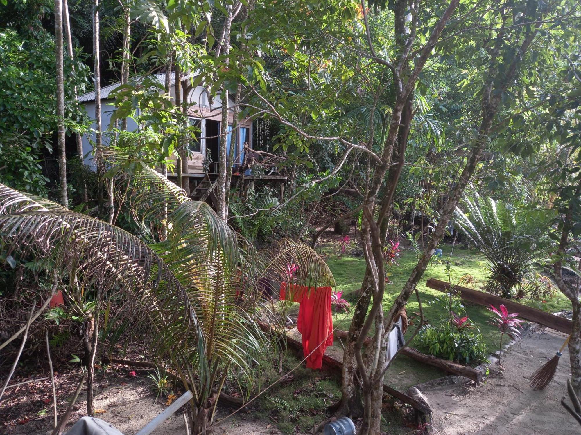Sumatra Ecolodge Sungaipisang Zewnętrze zdjęcie