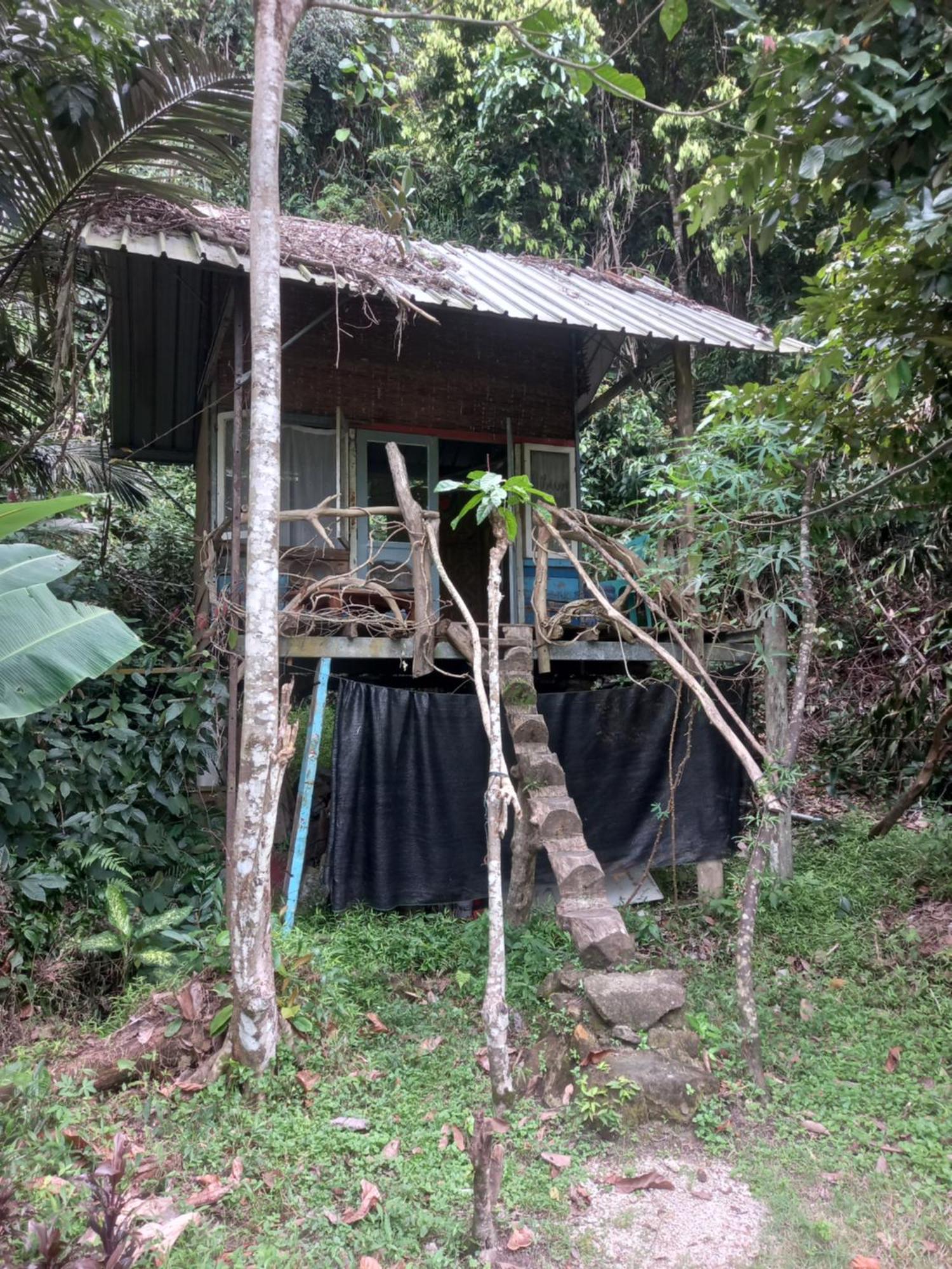 Sumatra Ecolodge Sungaipisang Pokój zdjęcie
